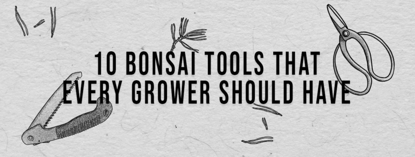 10 BONSAI TOOLS THAT EVERY GROWER SHOULD HAVE