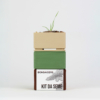 Kit Bonsai Seeds - Thumbnail Image 1