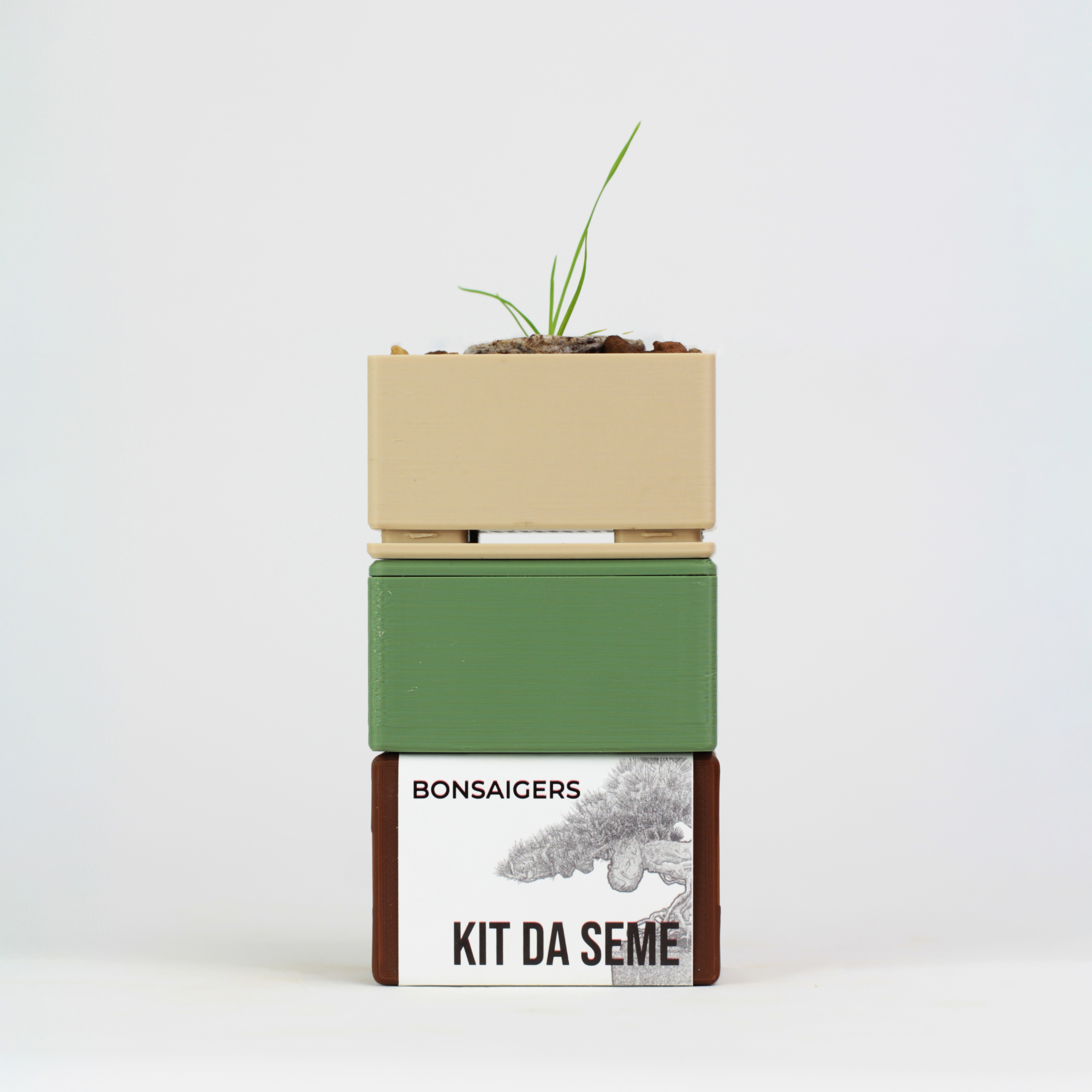 Kit Bonsai Seeds - Image 1