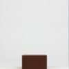Kit Bonsai Seeds - Thumbnail Image 10