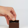 Kit Bonsai Seeds - Thumbnail Image 9