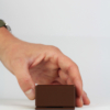 Kit Bonsai Seeds - Thumbnail Image 7