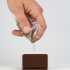 Kit Bonsai Seeds - Thumbnail Image 6