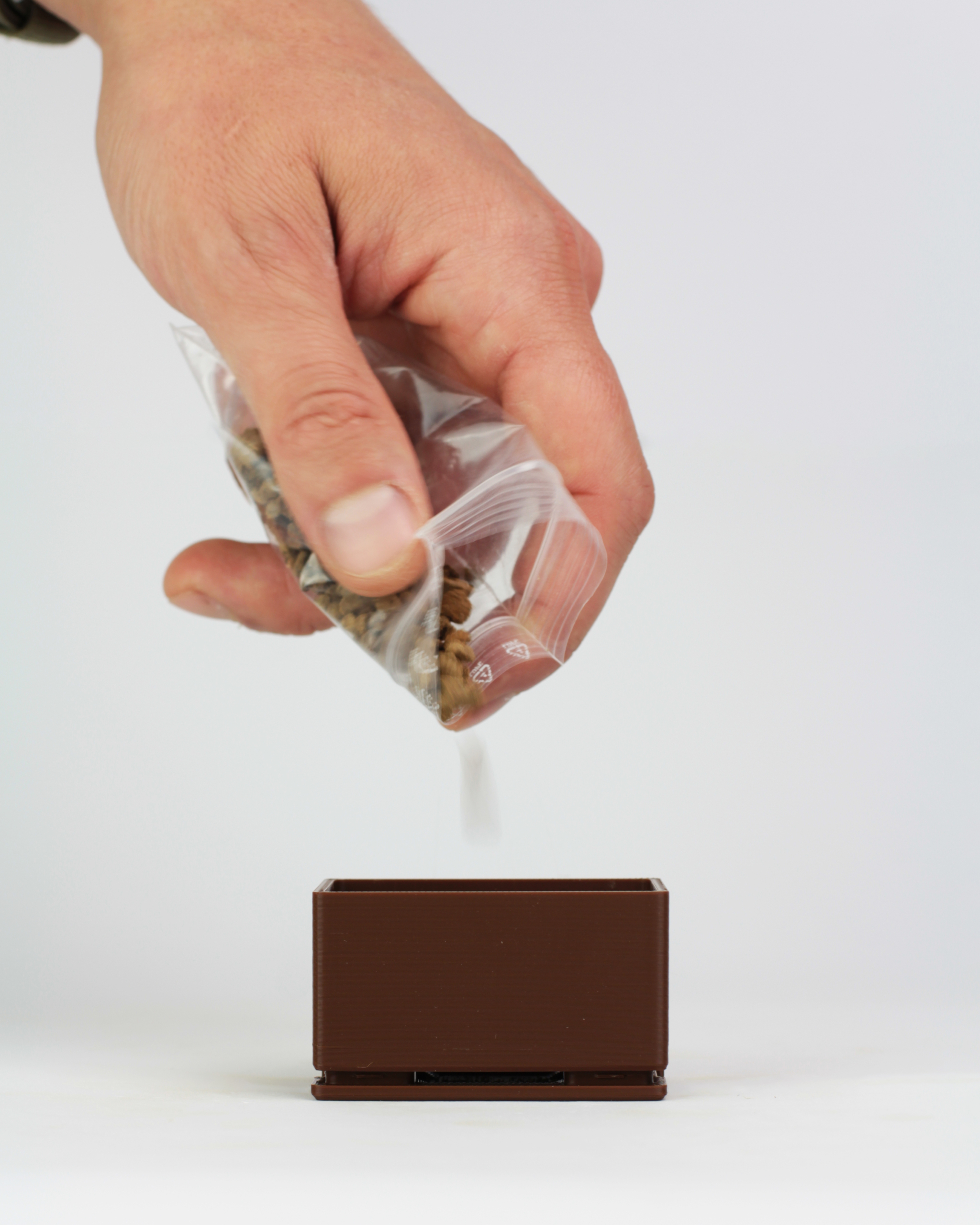 Kit Bonsai Seeds - Image 6