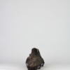 Suiseki Landscape - "Dune" - Thumbnail Image 5