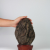 Suiseki Landscape - "Sentinel" - Thumbnail Image 7