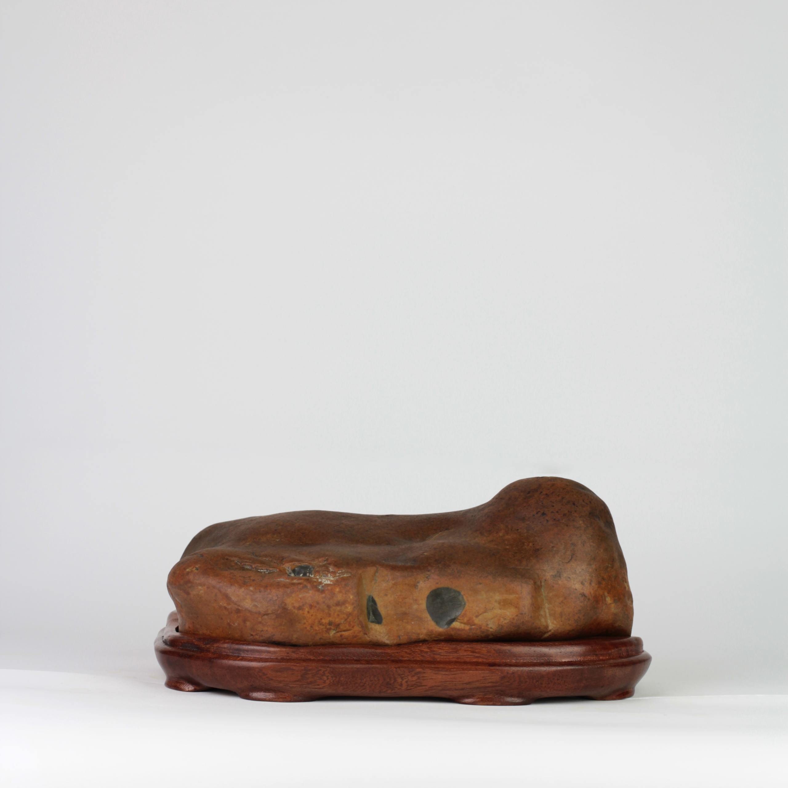 Suiseki Animal Figure - "Siesta" - Image 1