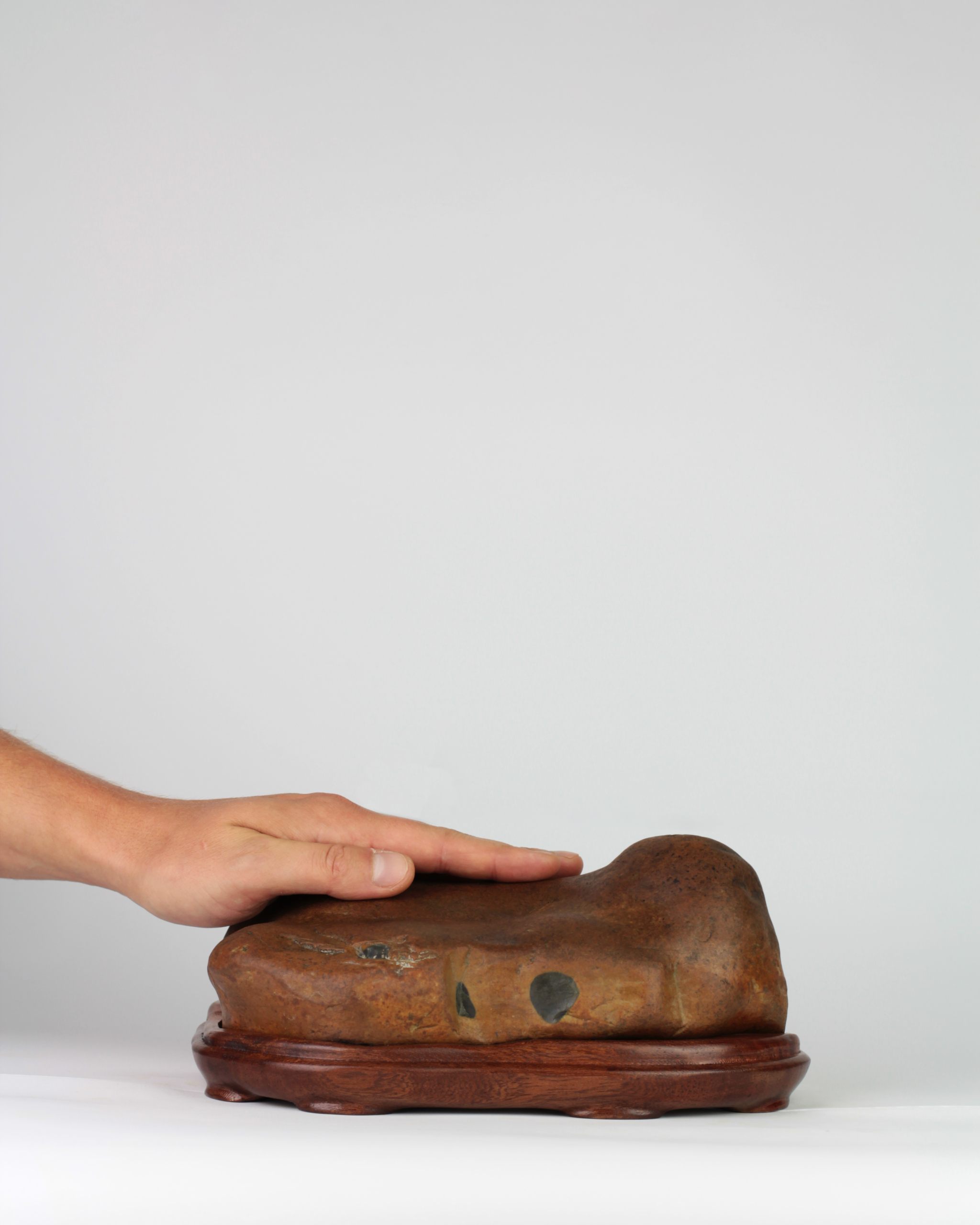 Suiseki Animal Figure - "Siesta" - Image 2