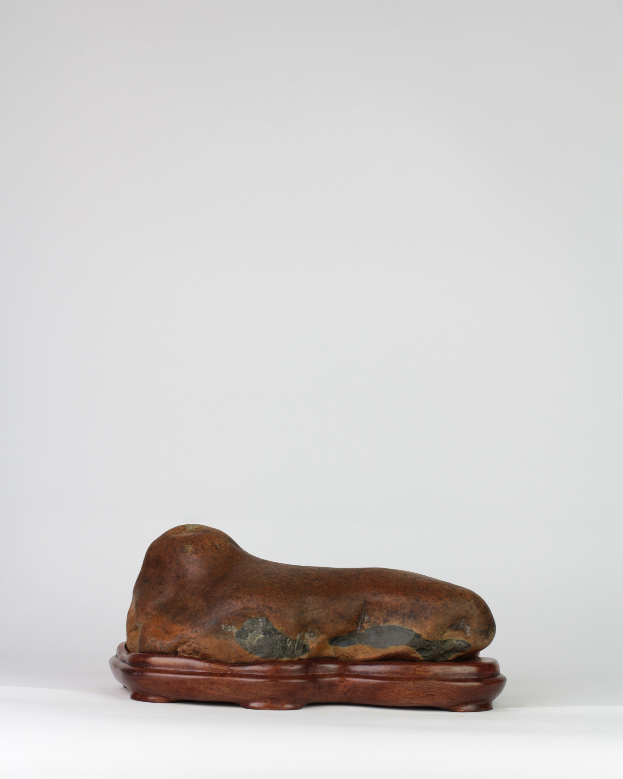 Suiseki Animal Figure - "Siesta" - Image 6