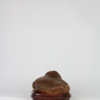 Suiseki Animal Figure - "Siesta" - Thumbnail Image 4