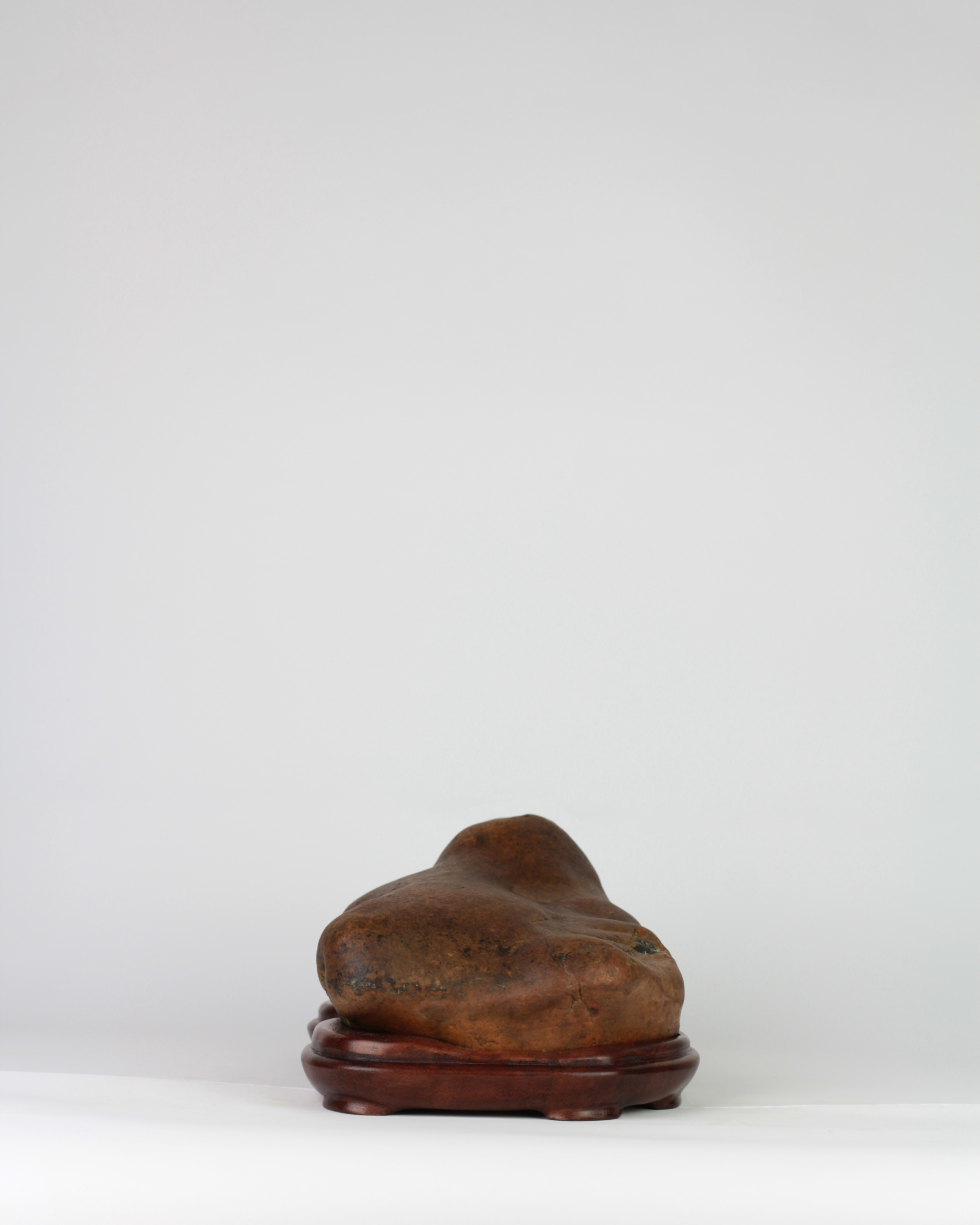 Suiseki Animal Figure - "Siesta" - Image 4