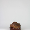 Suiseki Animal Figure - "Siesta" - Thumbnail Image 5