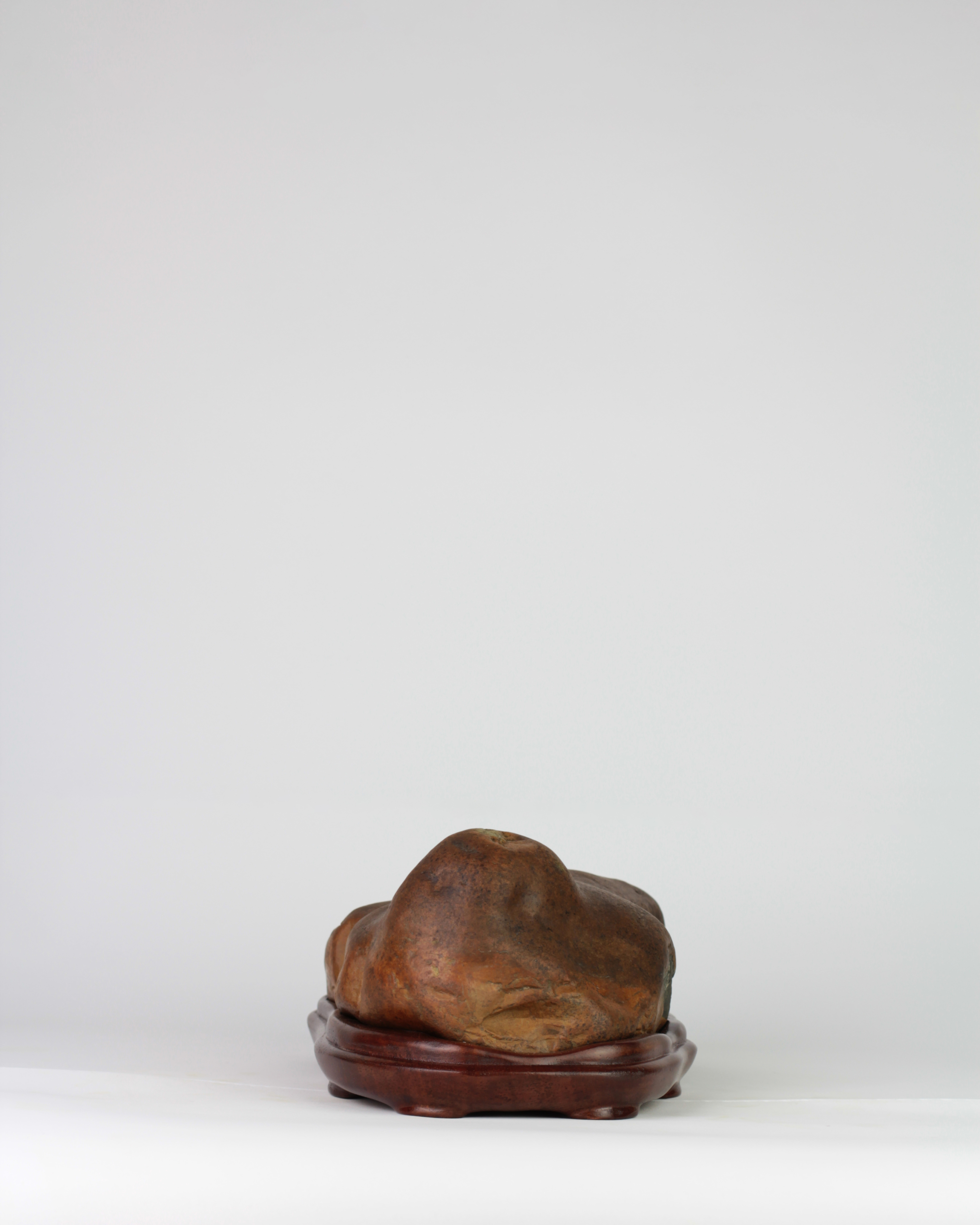 Suiseki Animal Figure - "Siesta" - Image 5