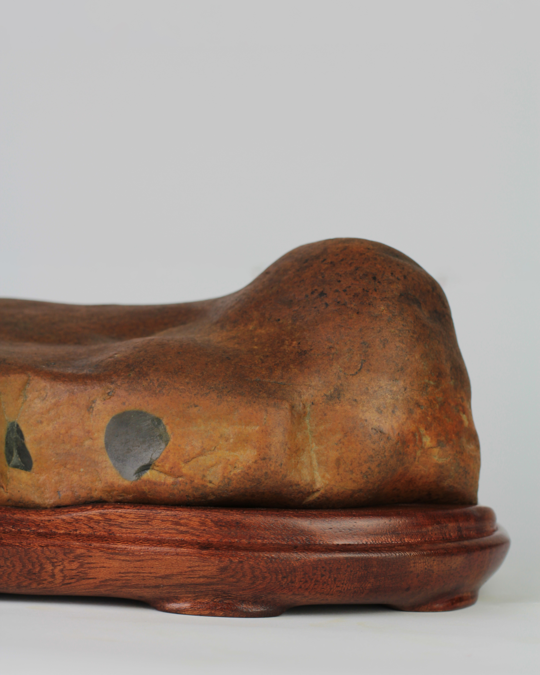 Suiseki Animal Figure - "Siesta" - Image 3