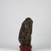 Suiseki Landscape - "Sentinel" - Thumbnail Image 6