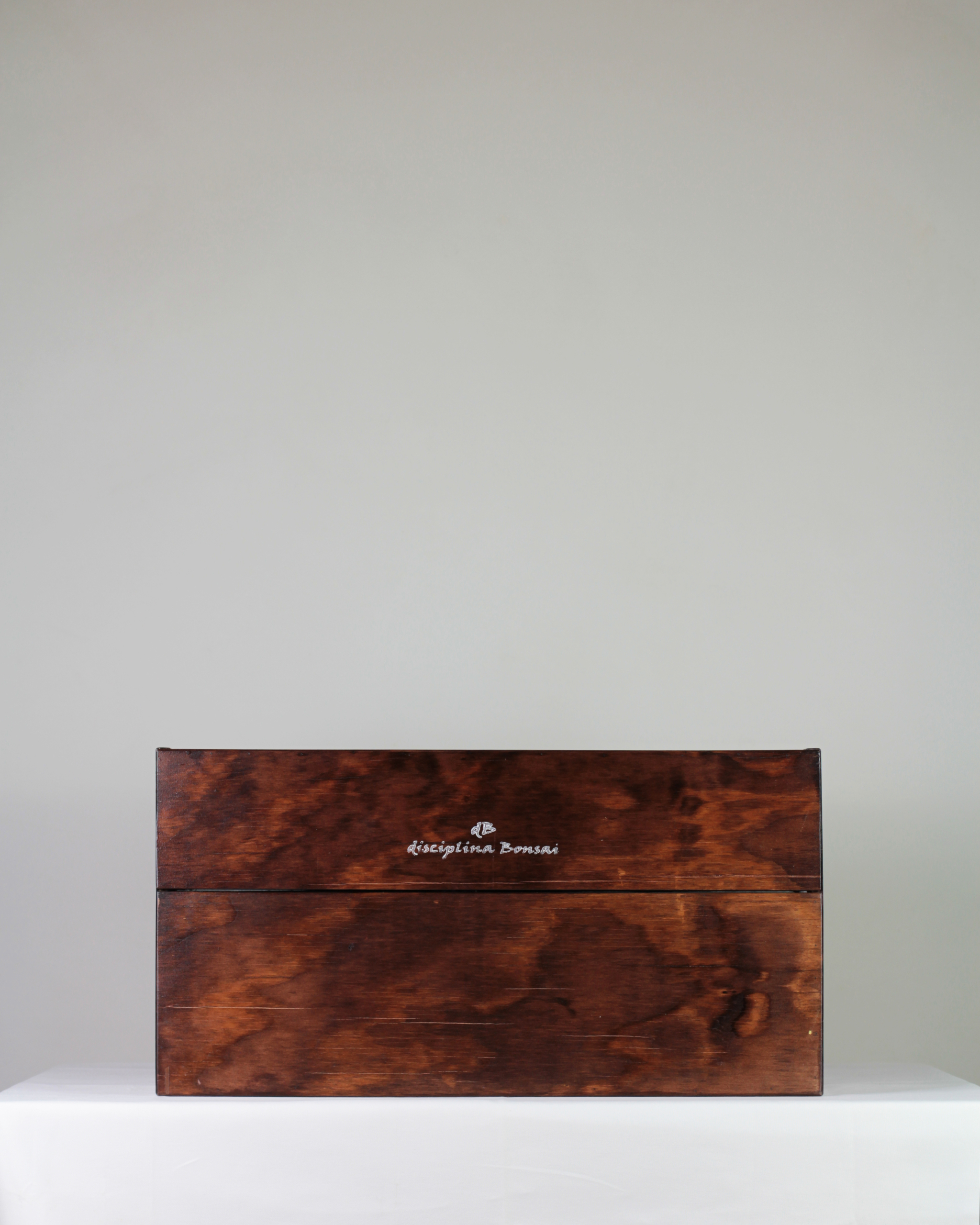 Bonsai Stand n.7 - "Drum" - Image 2