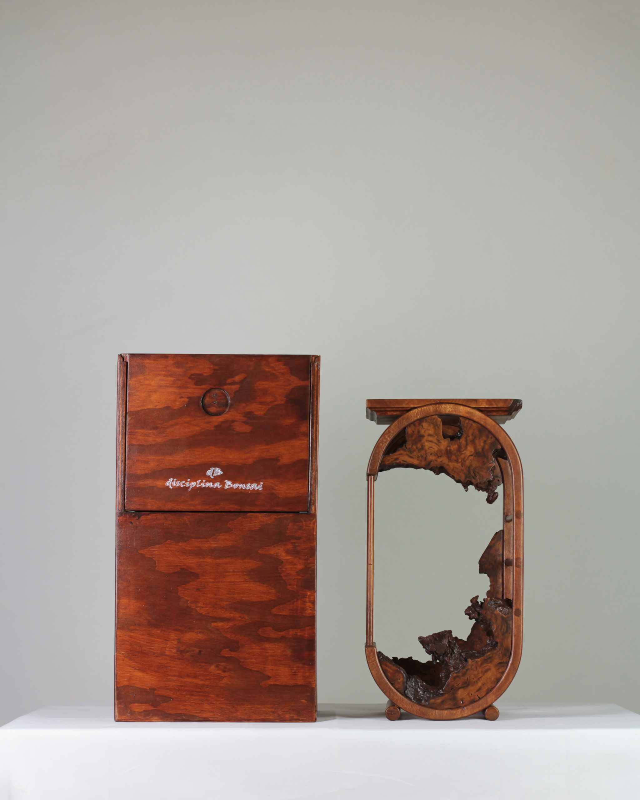 Bonsai Stand n.6 - "Portal" - Image 4