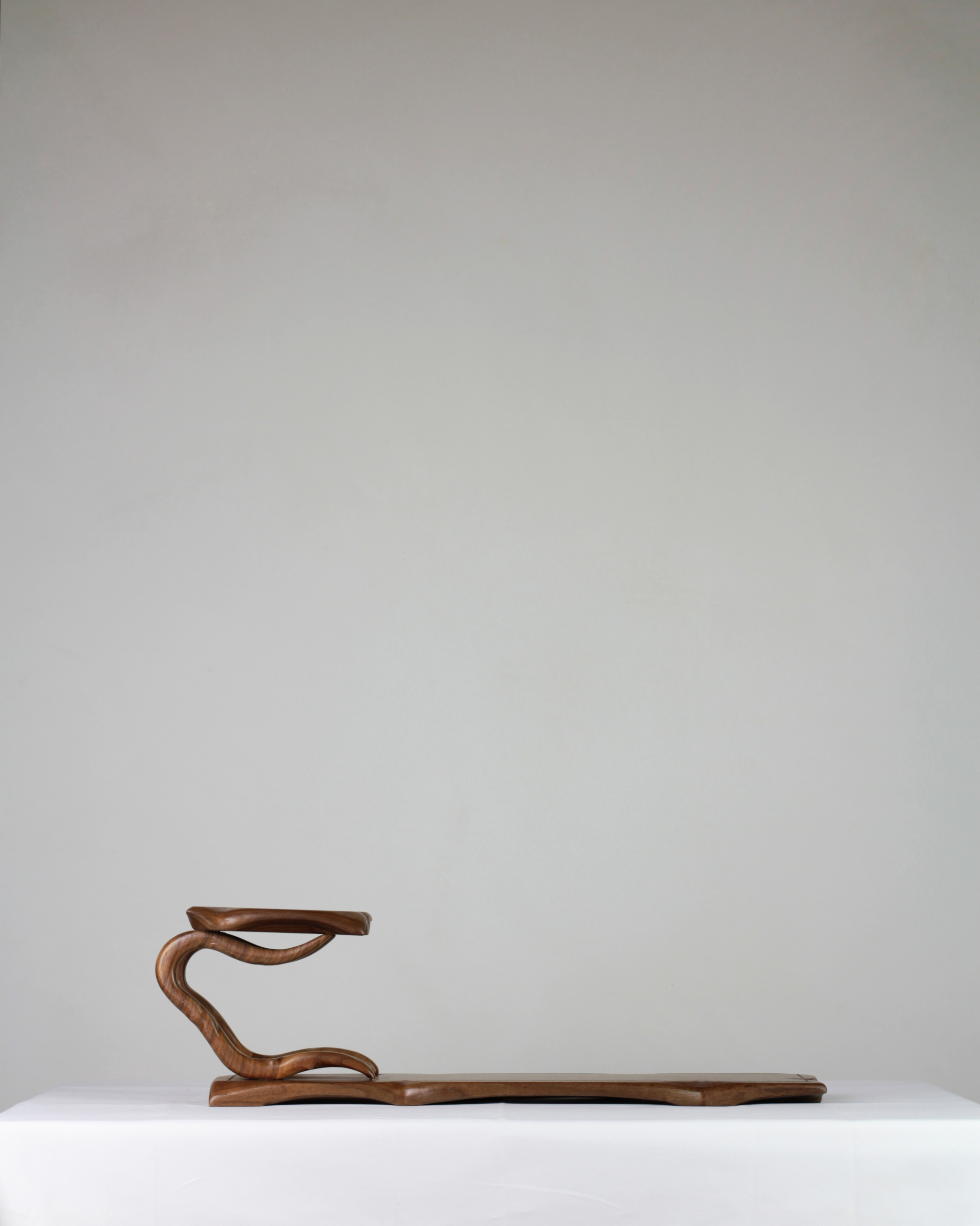 Bonsai Stand n.5 - "Stream" - Image 5