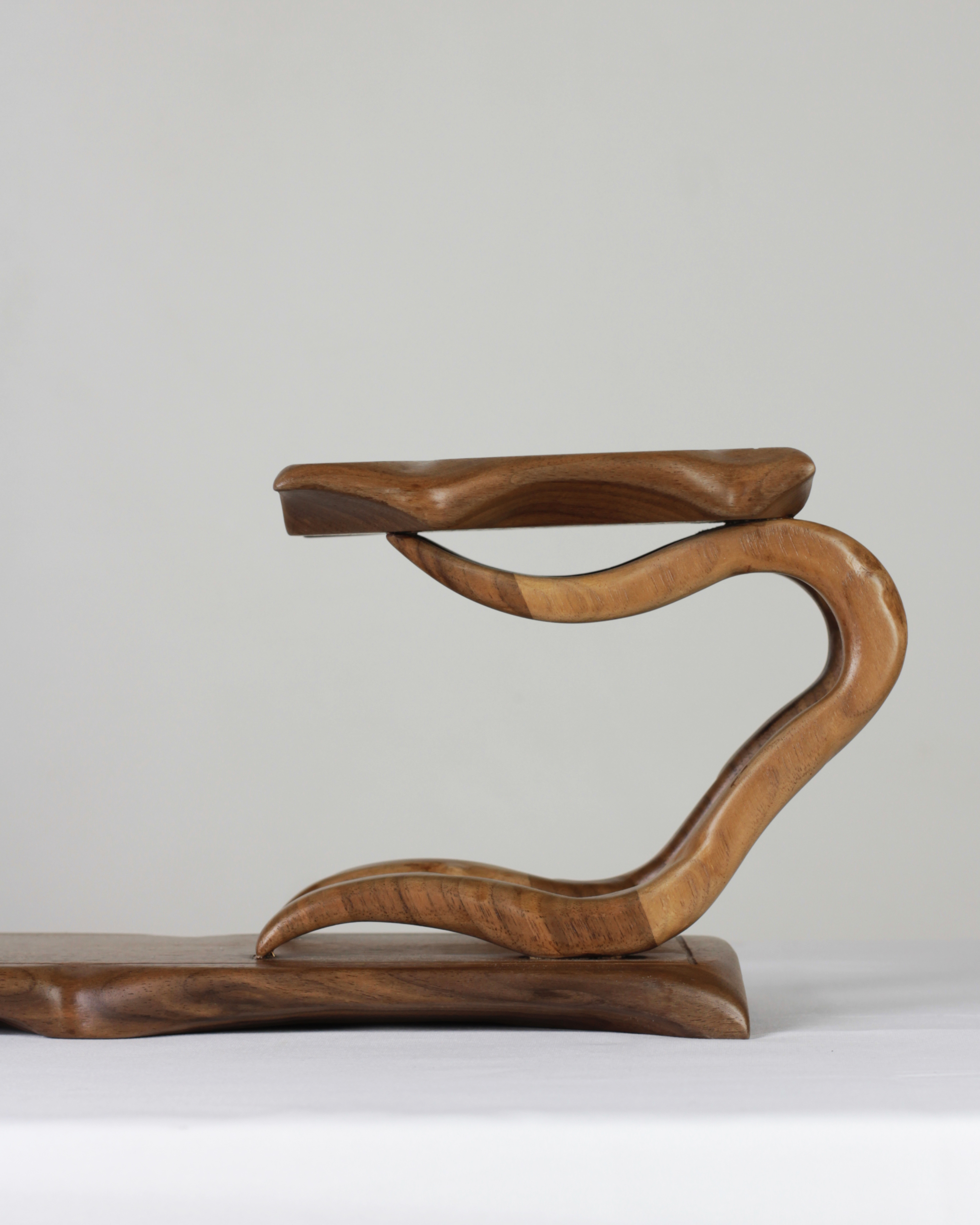 Bonsai Stand n.5 - "Stream" - Image 10